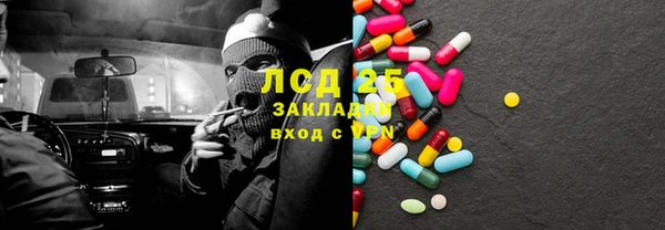 трава Магас