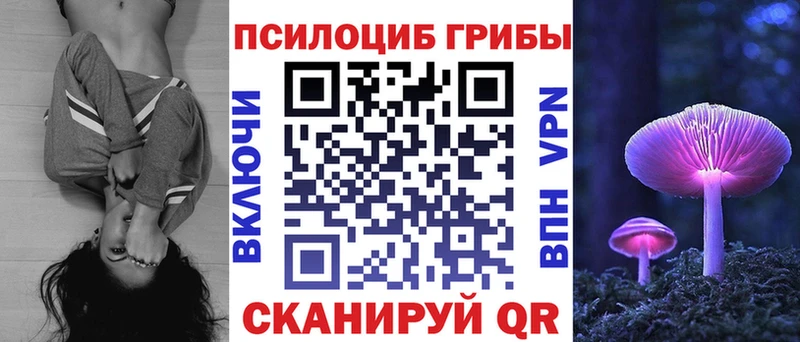 закладка  Новоржев  гидра сайт  Псилоцибиновые грибы ЛСД 